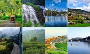 tours and travels in Mulund east